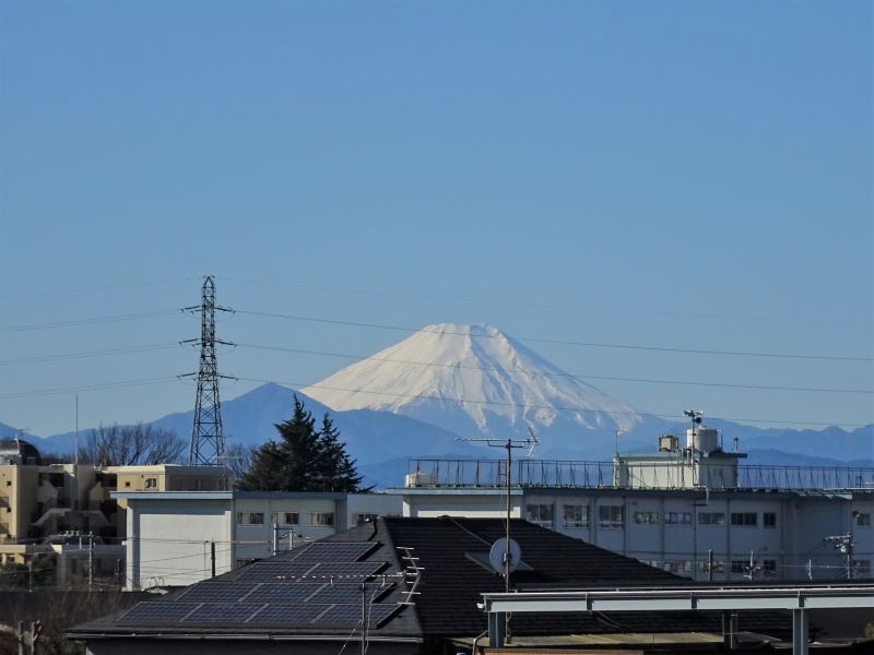 元旦の朝、屋上から見た富士山